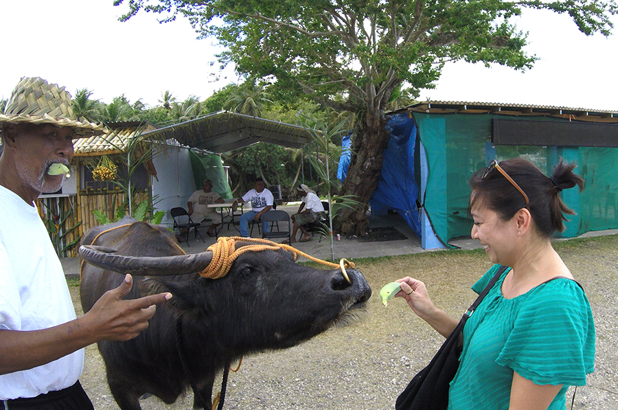 Feeding Carabao