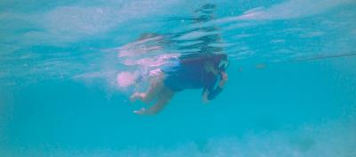 A snorkeler swimming near Guam