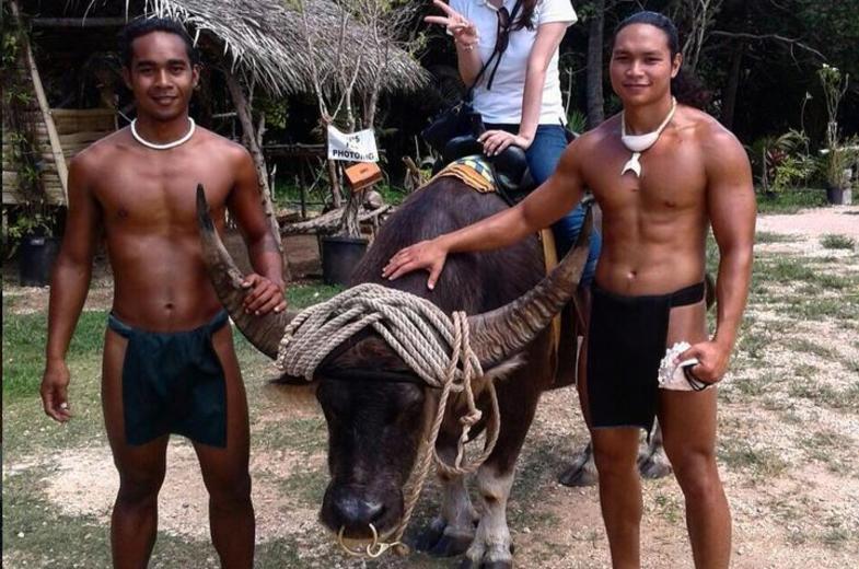 Valley of the Latte - karabao